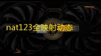 nat123全映射动态解析 1.151123 官方版